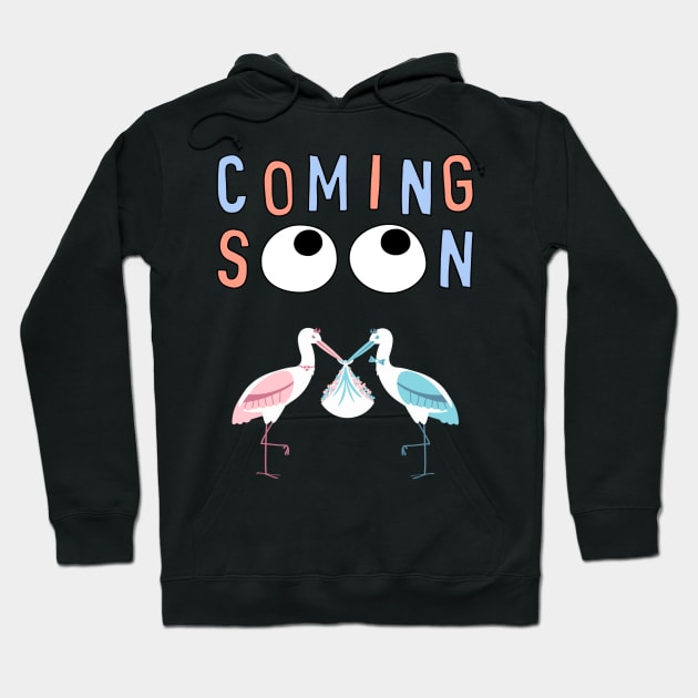 Mother's To Be, New Moms, Baby Announcement Cute, Storks, Coming Soon Design Hoodie by BirdsnStuff